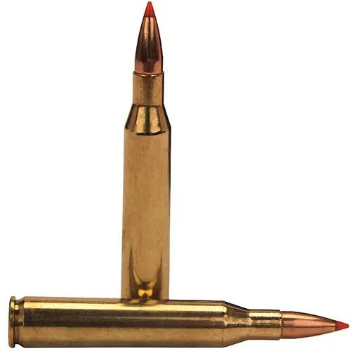 25-06 Remington - 117 Grains, SST Polymer Tip FB, Per 20