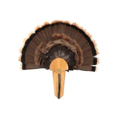 Allen Company Ez Mount Exhibition Turkey Fan & Beard Mounting Kit 11.5 X 4 X 10.5