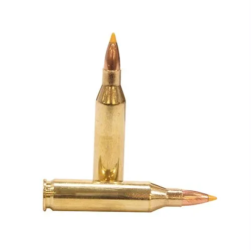 Elite Performance Ammunition - .243 Winchester, 55 Grains, Tipped Hollow Point, Per 20