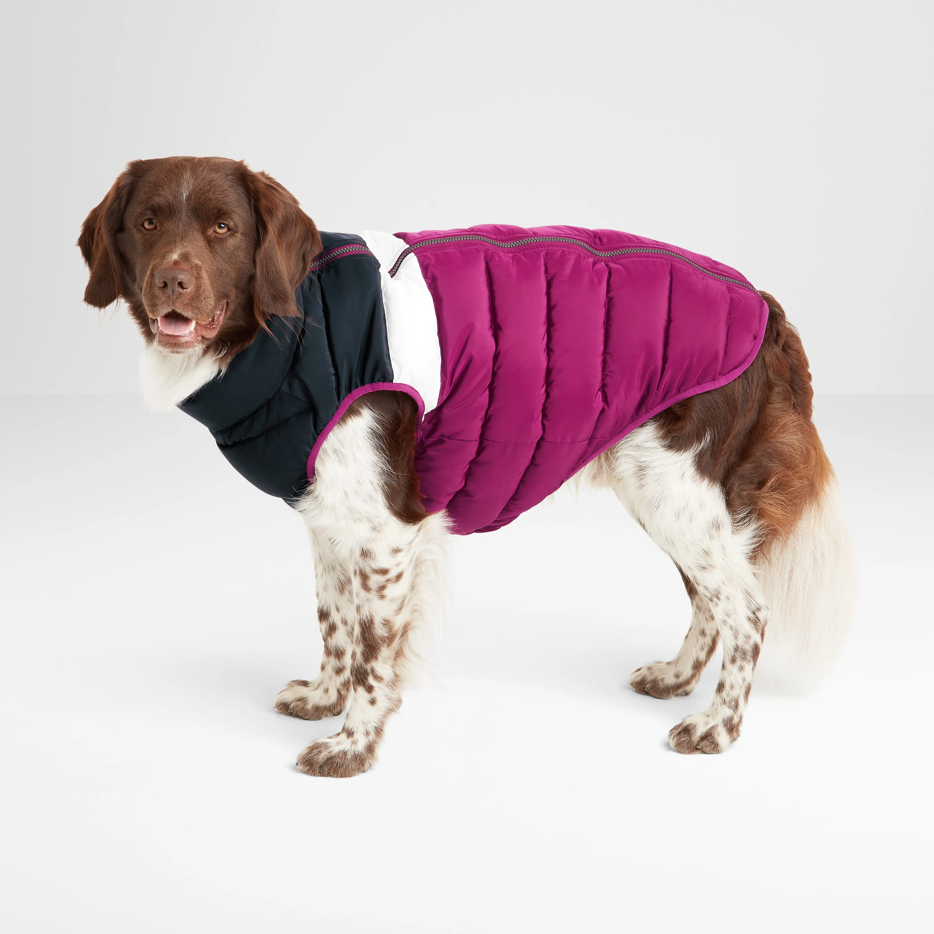 Fetch Padded Dog Coat L - Purple Berry/Dark Indigo/Optic White