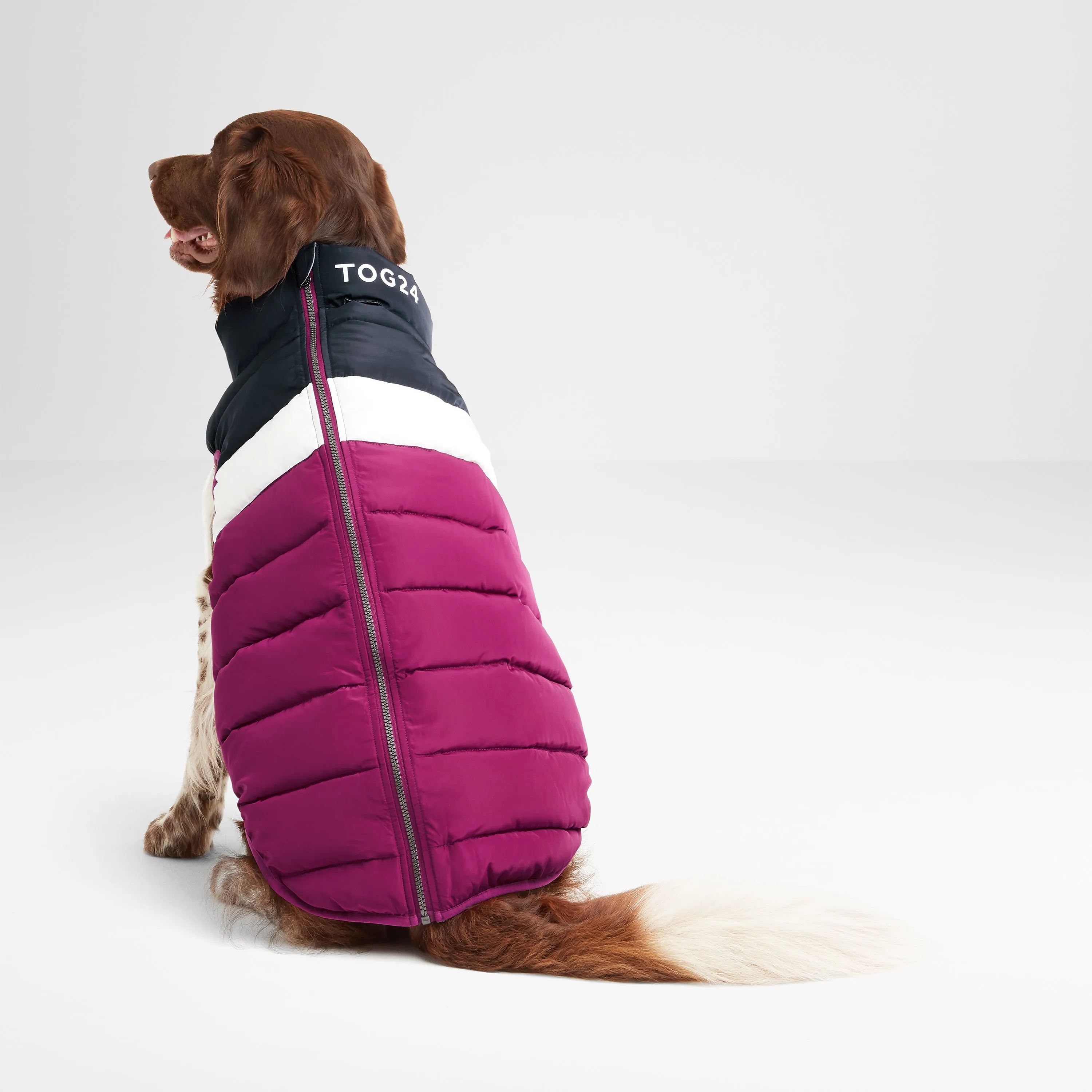 Fetch Padded Dog Coat L - Purple Berry/Dark Indigo/Optic White