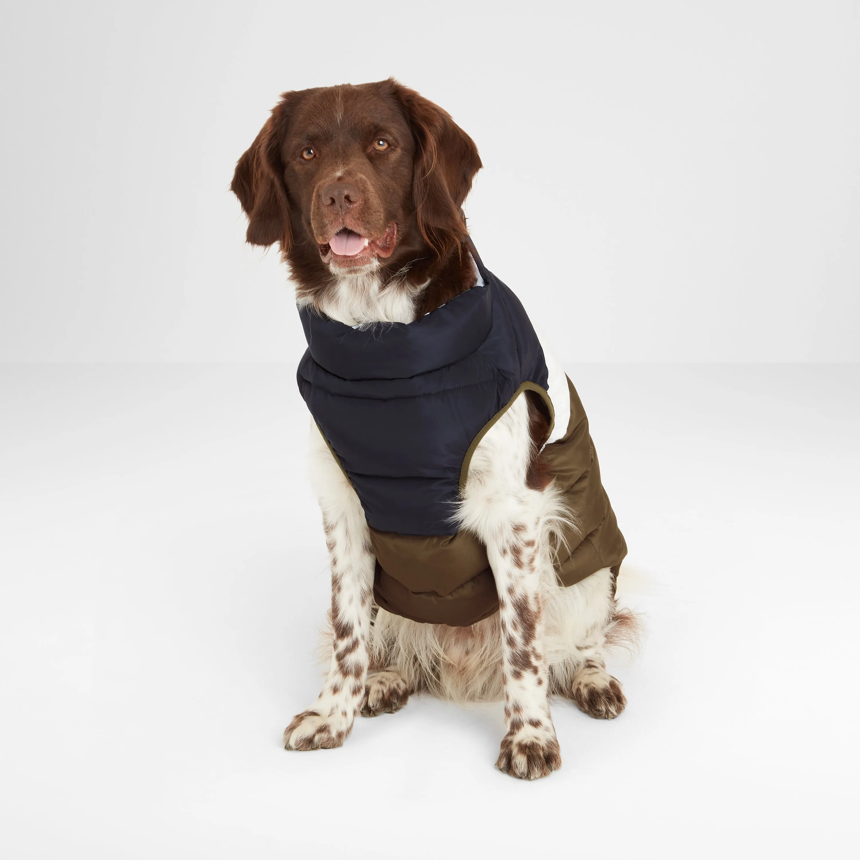 Fetch Padded Dog Coat S - Khaki/Dark Indigo/Optic White