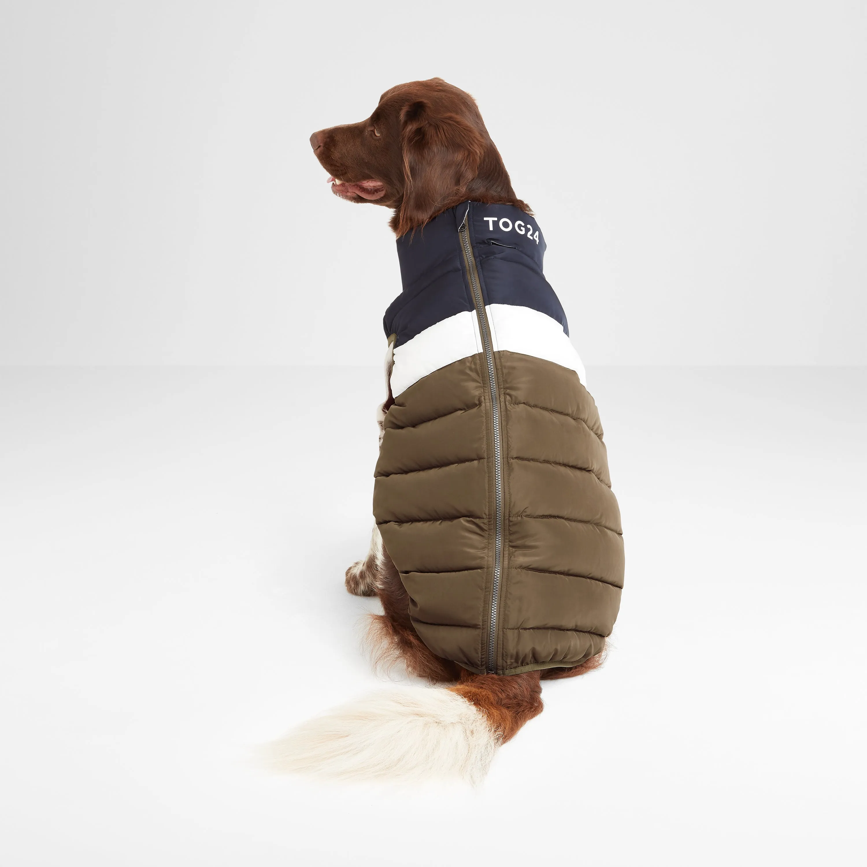 Fetch Padded Dog Coat S - Khaki/Dark Indigo/Optic White