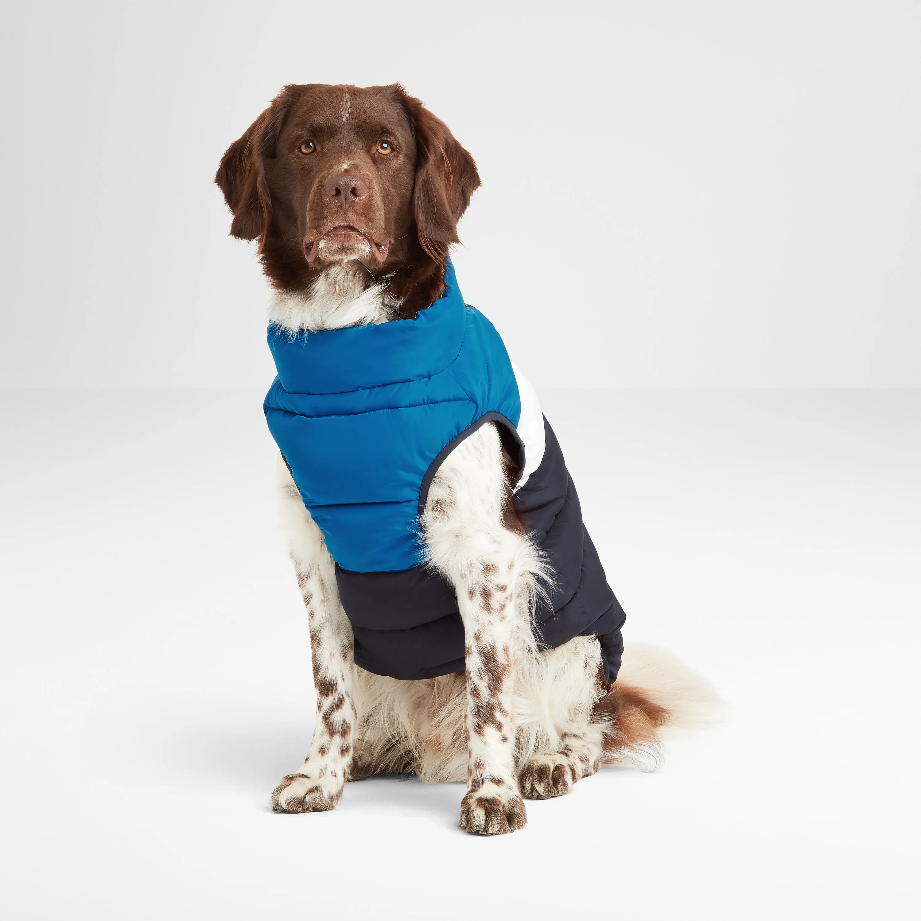 Fetch Padded Dog Coat XS - Peacock Blue/Dark Indigo/Optic White