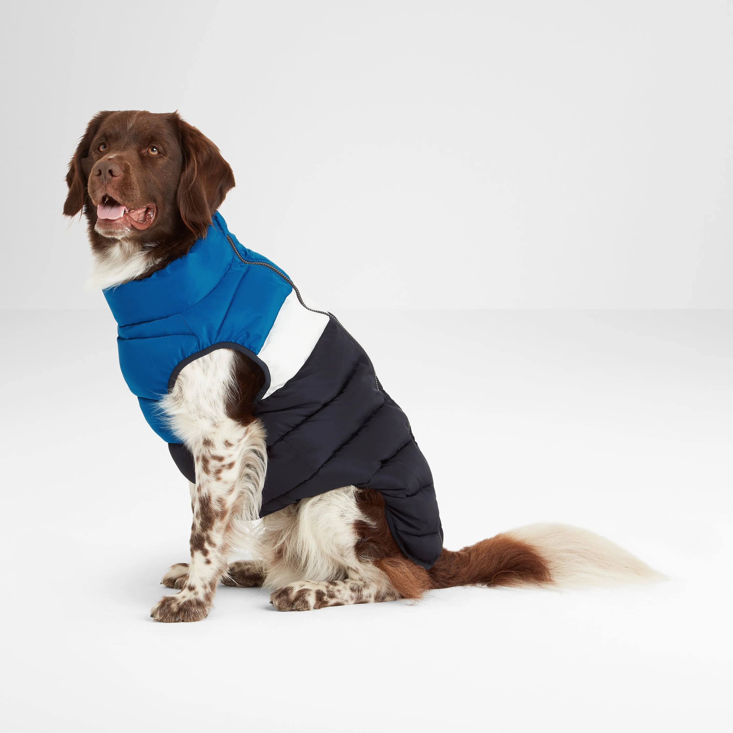 Fetch Padded Dog Coat XS - Peacock Blue/Dark Indigo/Optic White