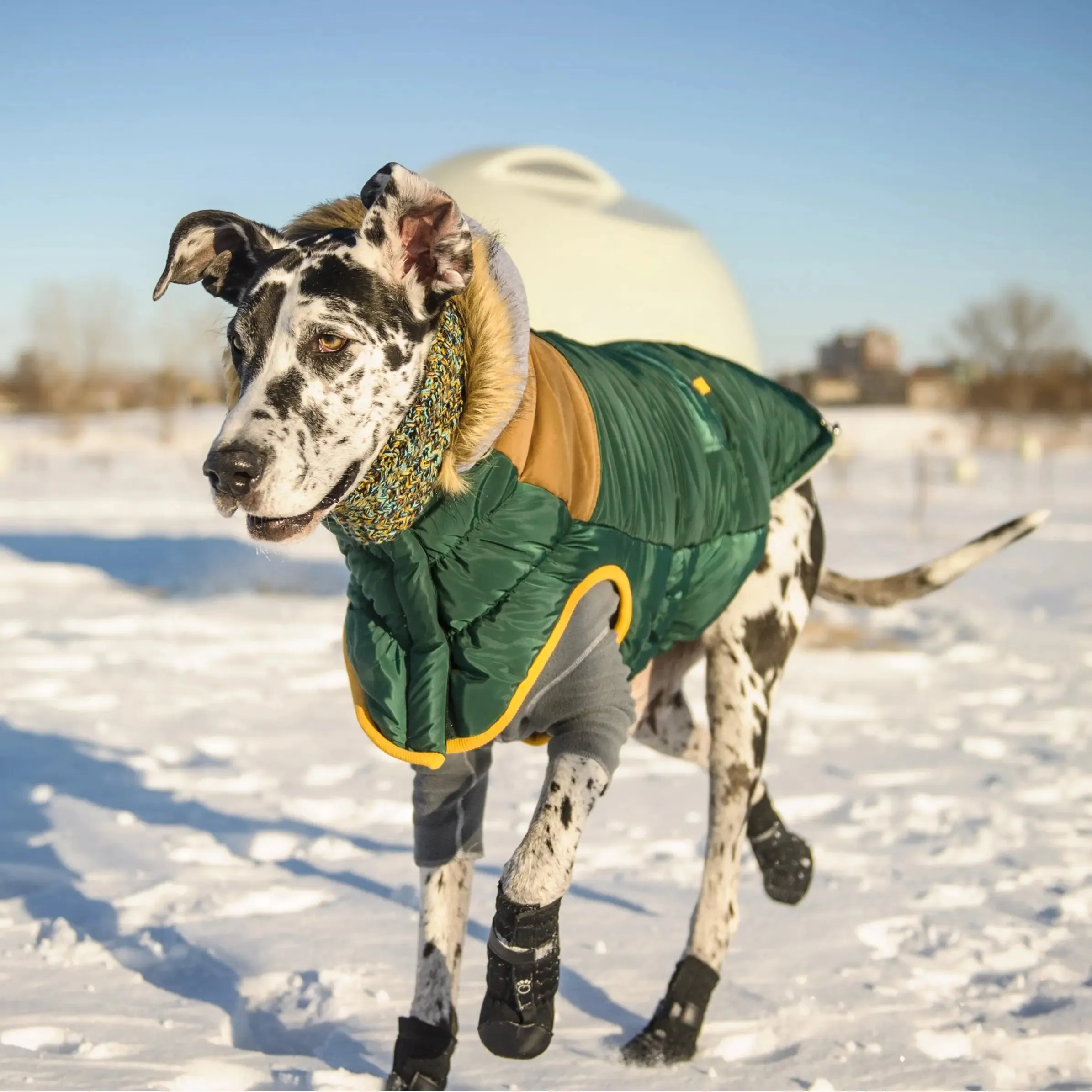 Lodge Parka Dog Coat | Forest Green