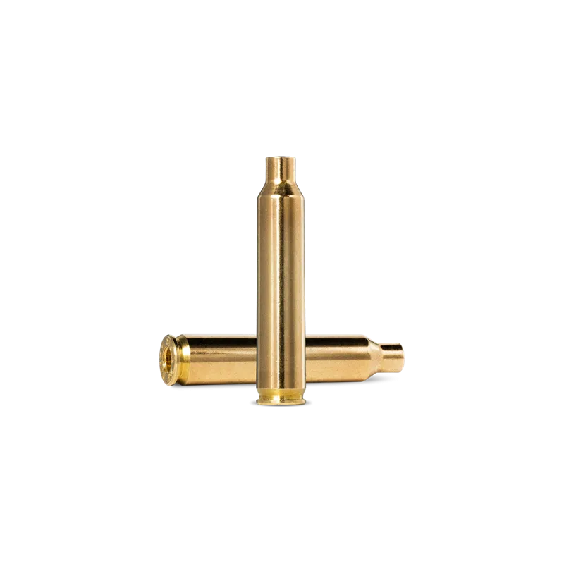 Norma Unprimed Brass 204 Ruger 100Pk