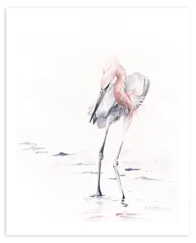 Reddish Egret - Fine Art Print